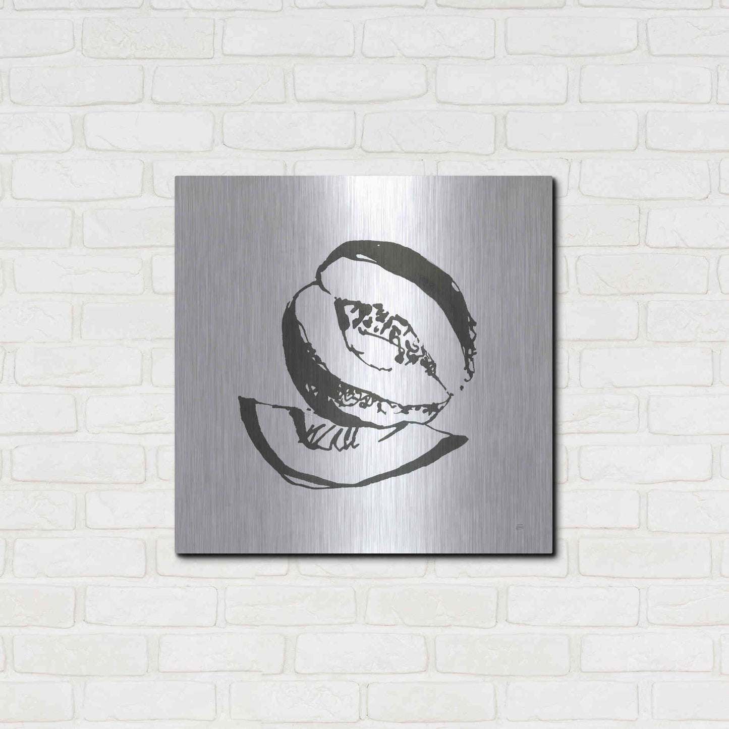 Luxe Metal Art 'Cantaloupe I BW' by Chris Paschke, Metal Wall Art,24x24