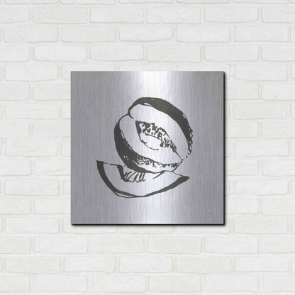 Luxe Metal Art 'Cantaloupe I BW' by Chris Paschke, Metal Wall Art,24x24