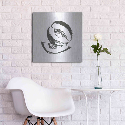 Luxe Metal Art 'Cantaloupe I BW' by Chris Paschke, Metal Wall Art,24x24