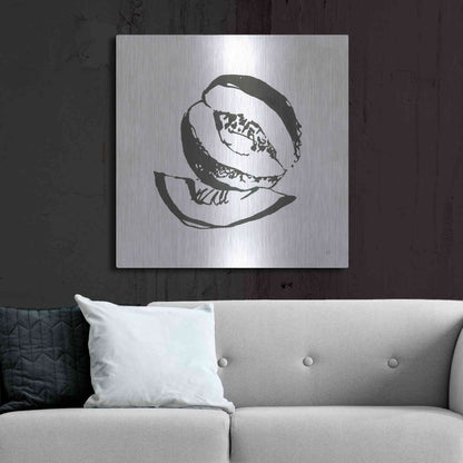 Luxe Metal Art 'Cantaloupe I BW' by Chris Paschke, Metal Wall Art,36x36