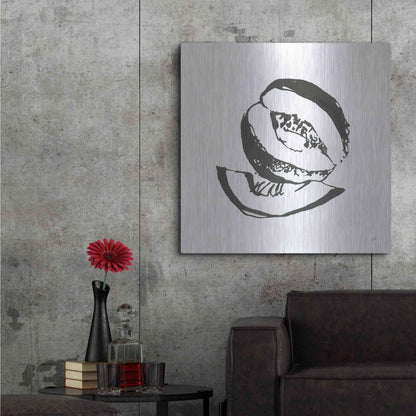 Luxe Metal Art 'Cantaloupe I BW' by Chris Paschke, Metal Wall Art,36x36