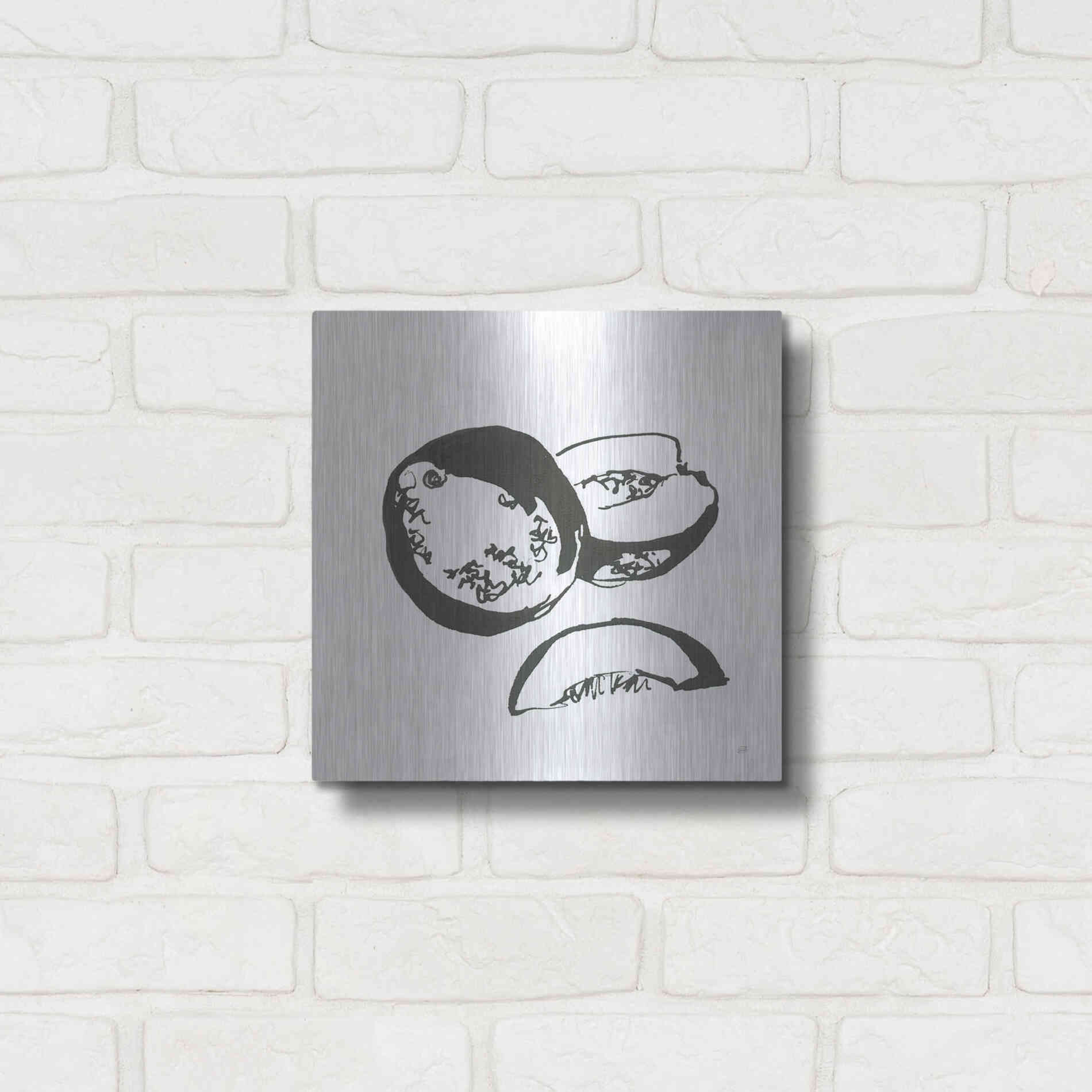 Luxe Metal Art 'Cantaloupe II BW' by Chris Paschke, Metal Wall Art,12x12