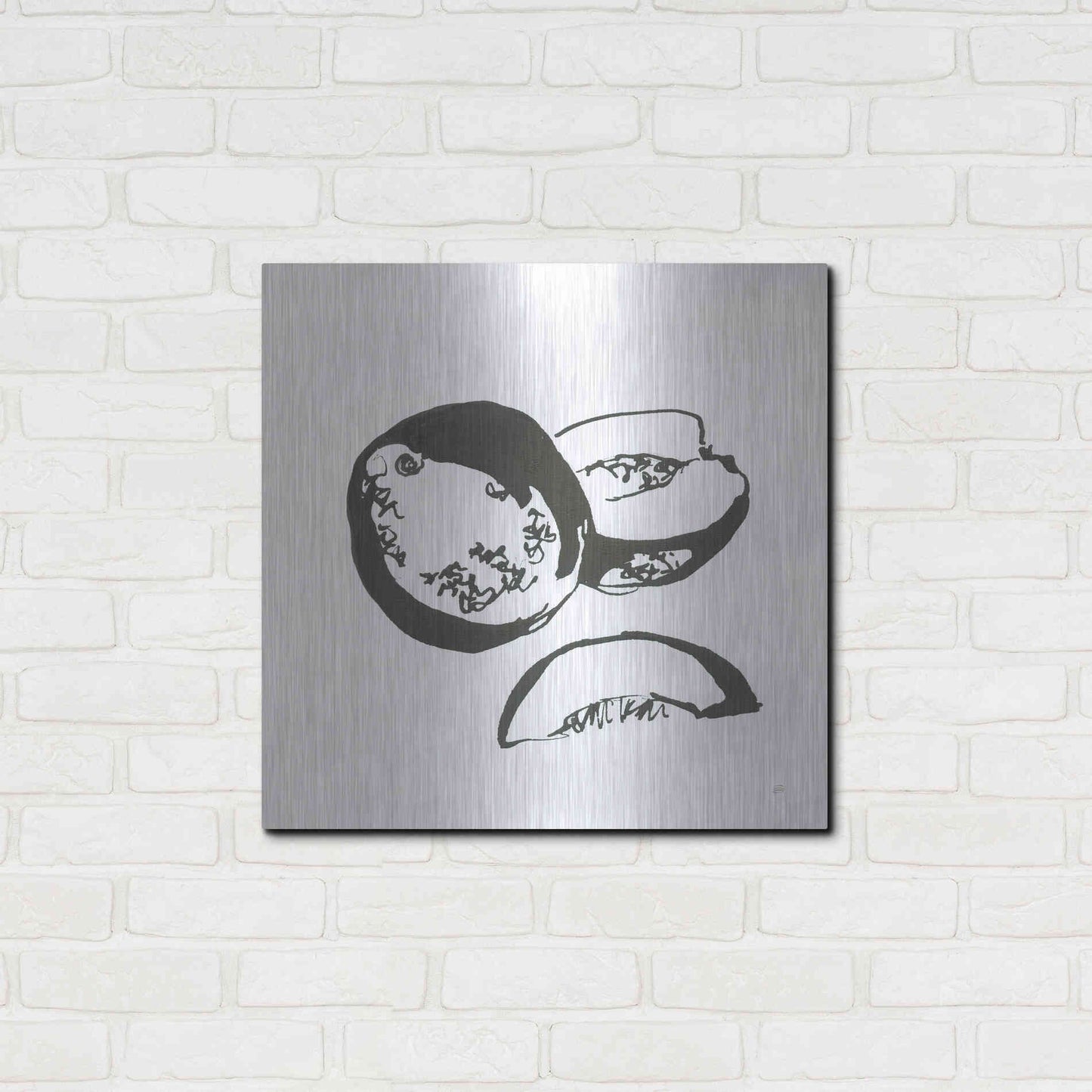 Luxe Metal Art 'Cantaloupe II BW' by Chris Paschke, Metal Wall Art,24x24