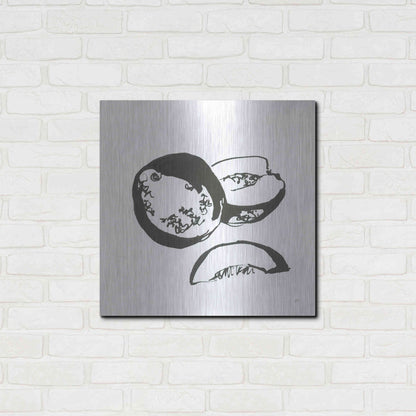 Luxe Metal Art 'Cantaloupe II BW' by Chris Paschke, Metal Wall Art,24x24