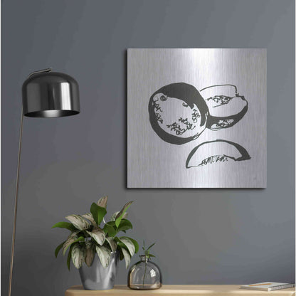 Luxe Metal Art 'Cantaloupe II BW' by Chris Paschke, Metal Wall Art,24x24