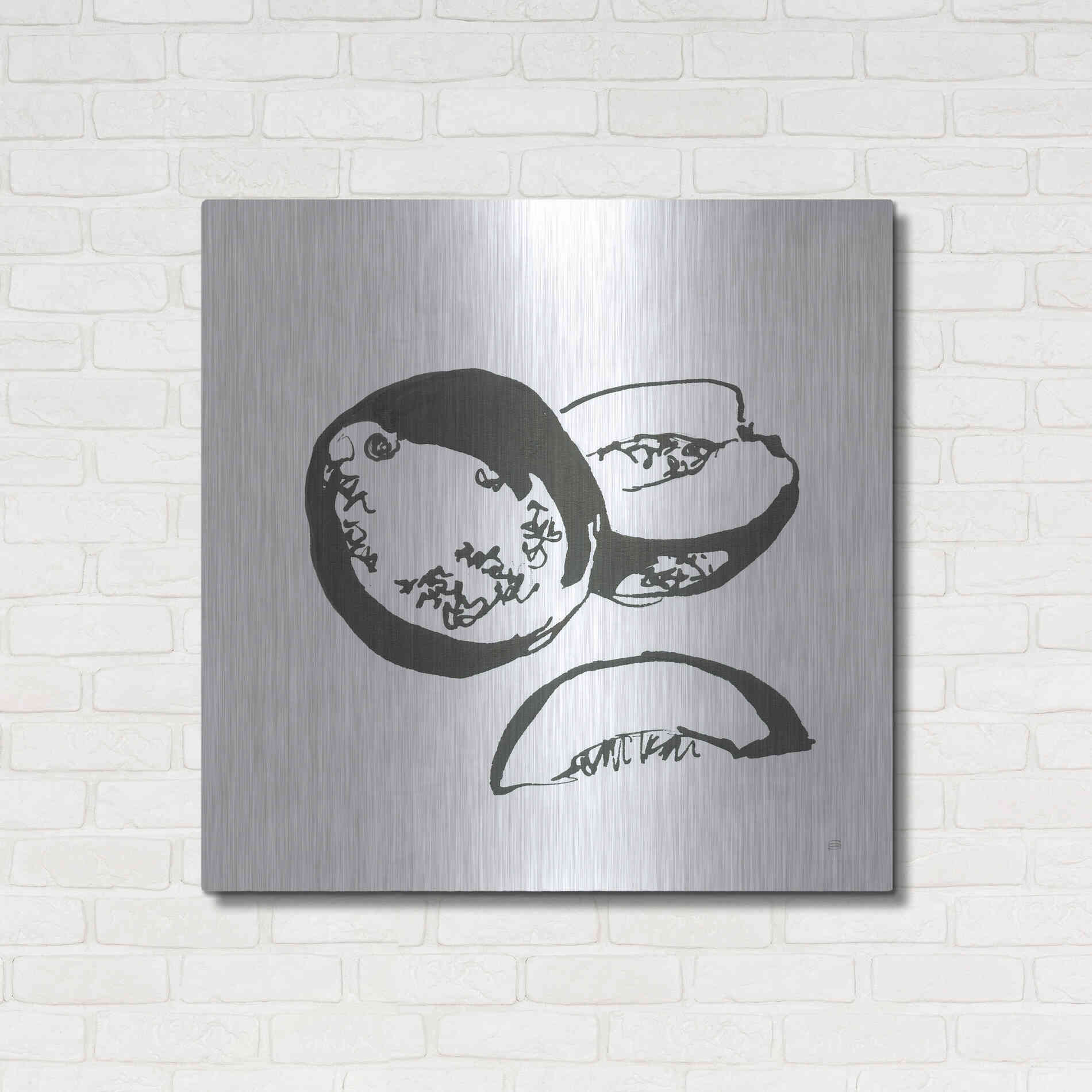 Luxe Metal Art 'Cantaloupe II BW' by Chris Paschke, Metal Wall Art,36x36