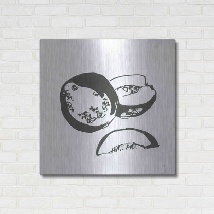 Luxe Metal Art 'Cantaloupe II BW' by Chris Paschke, Metal Wall Art,36x36