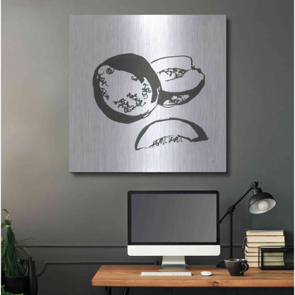 Luxe Metal Art 'Cantaloupe II BW' by Chris Paschke, Metal Wall Art,36x36