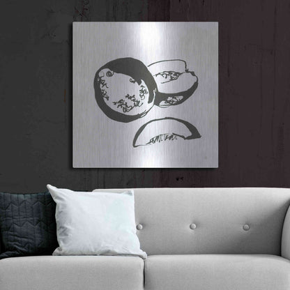 Luxe Metal Art 'Cantaloupe II BW' by Chris Paschke, Metal Wall Art,36x36