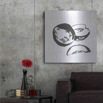 Luxe Metal Art 'Cantaloupe II BW' by Chris Paschke, Metal Wall Art,36x36