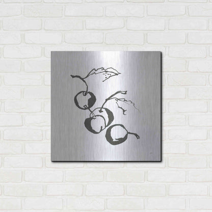 Luxe Metal Art 'Cherries BW' by Chris Paschke, Metal Wall Art,24x24