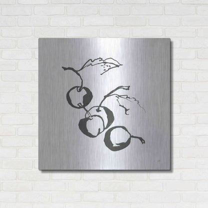 Luxe Metal Art 'Cherries BW' by Chris Paschke, Metal Wall Art,36x36