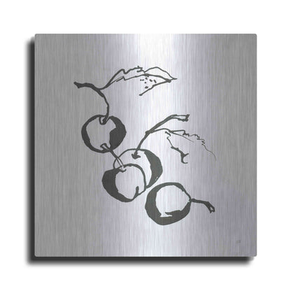 Luxe Metal Art 'Cherries BW' by Chris Paschke, Metal Wall Art