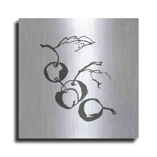Luxe Metal Art 'Cherries BW' by Chris Paschke, Metal Wall Art