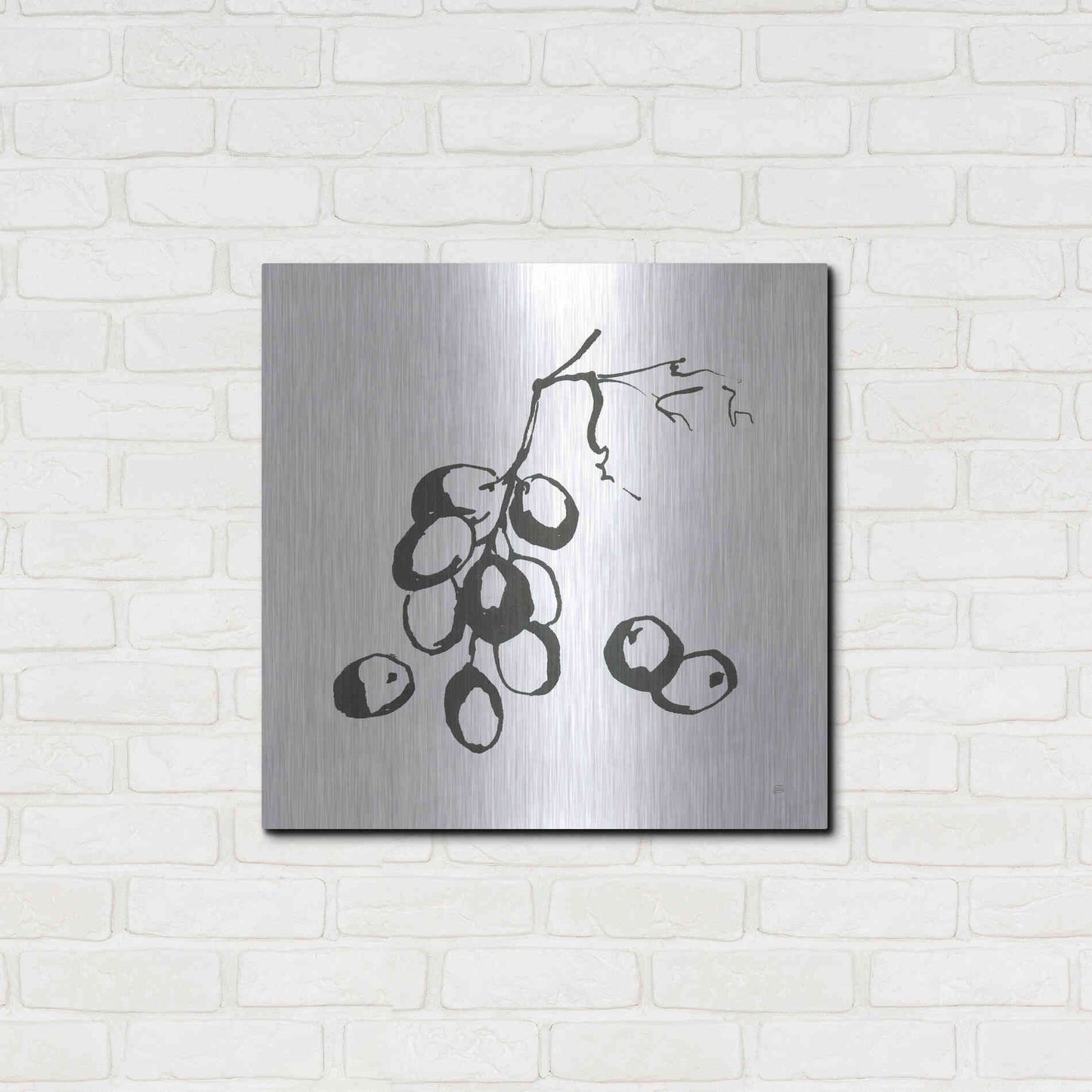 Luxe Metal Art 'Grapes I BW' by Chris Paschke, Metal Wall Art,24x24