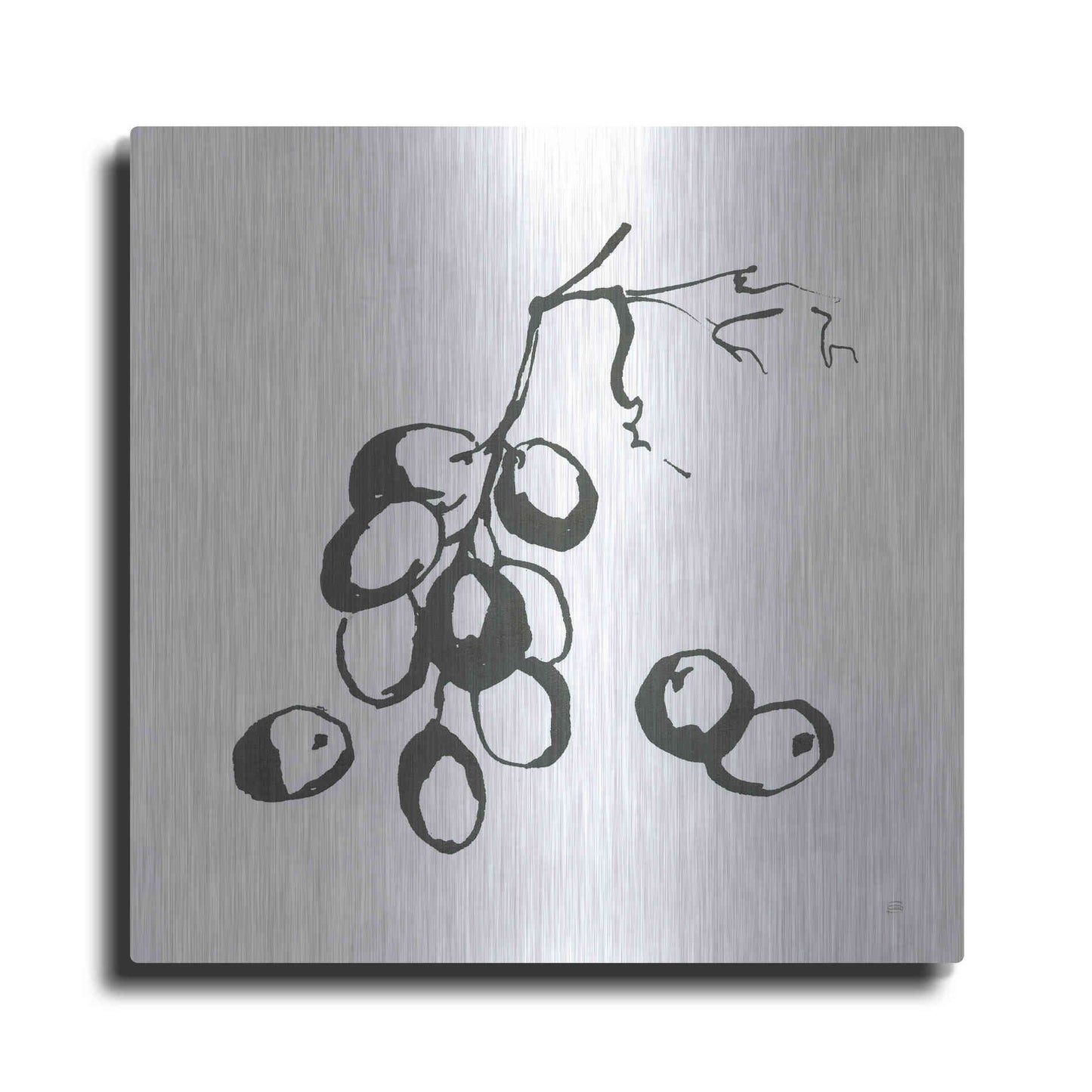 Luxe Metal Art 'Grapes I BW' by Chris Paschke, Metal Wall Art