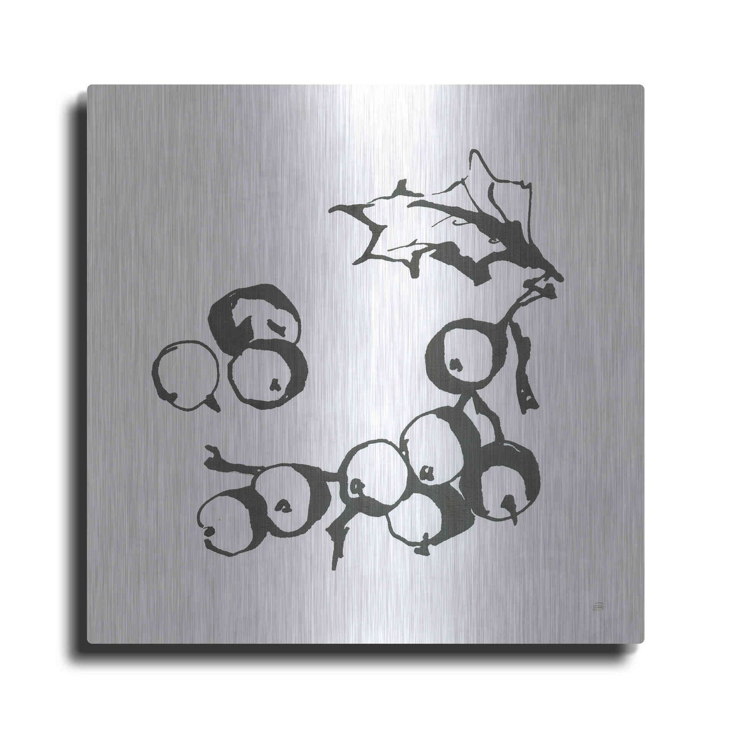 Luxe Metal Art 'Grapes II BW' by Chris Paschke, Metal Wall Art