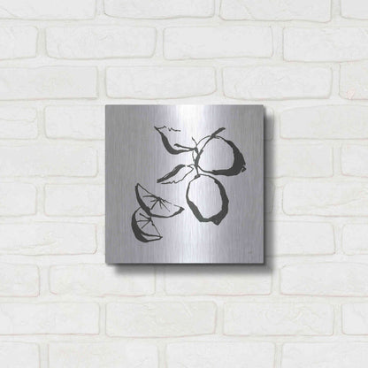 Luxe Metal Art 'Limes BW' by Chris Paschke, Metal Wall Art,12x12
