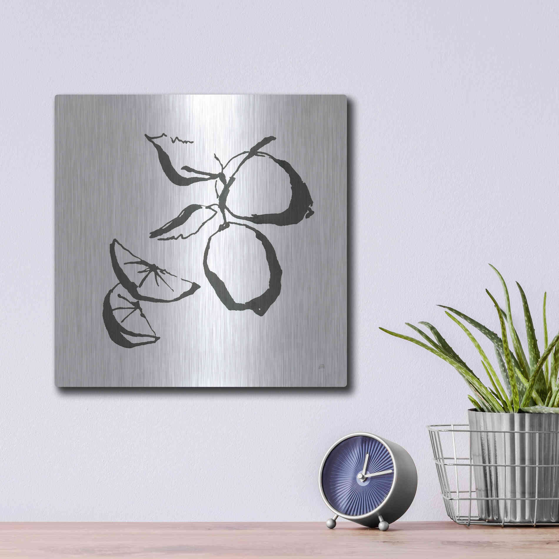 Luxe Metal Art 'Limes BW' by Chris Paschke, Metal Wall Art,12x12