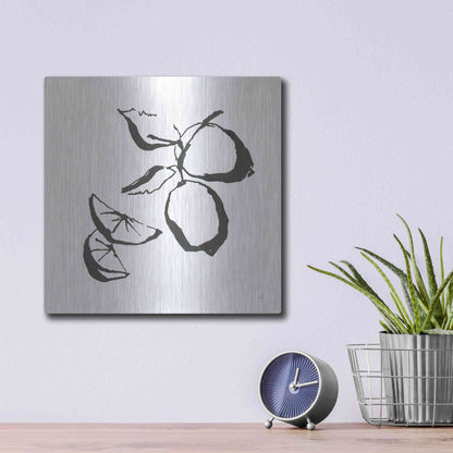 Luxe Metal Art 'Limes BW' by Chris Paschke, Metal Wall Art,12x12