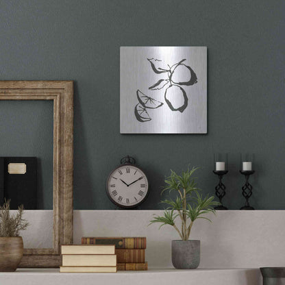 Luxe Metal Art 'Limes BW' by Chris Paschke, Metal Wall Art,12x12