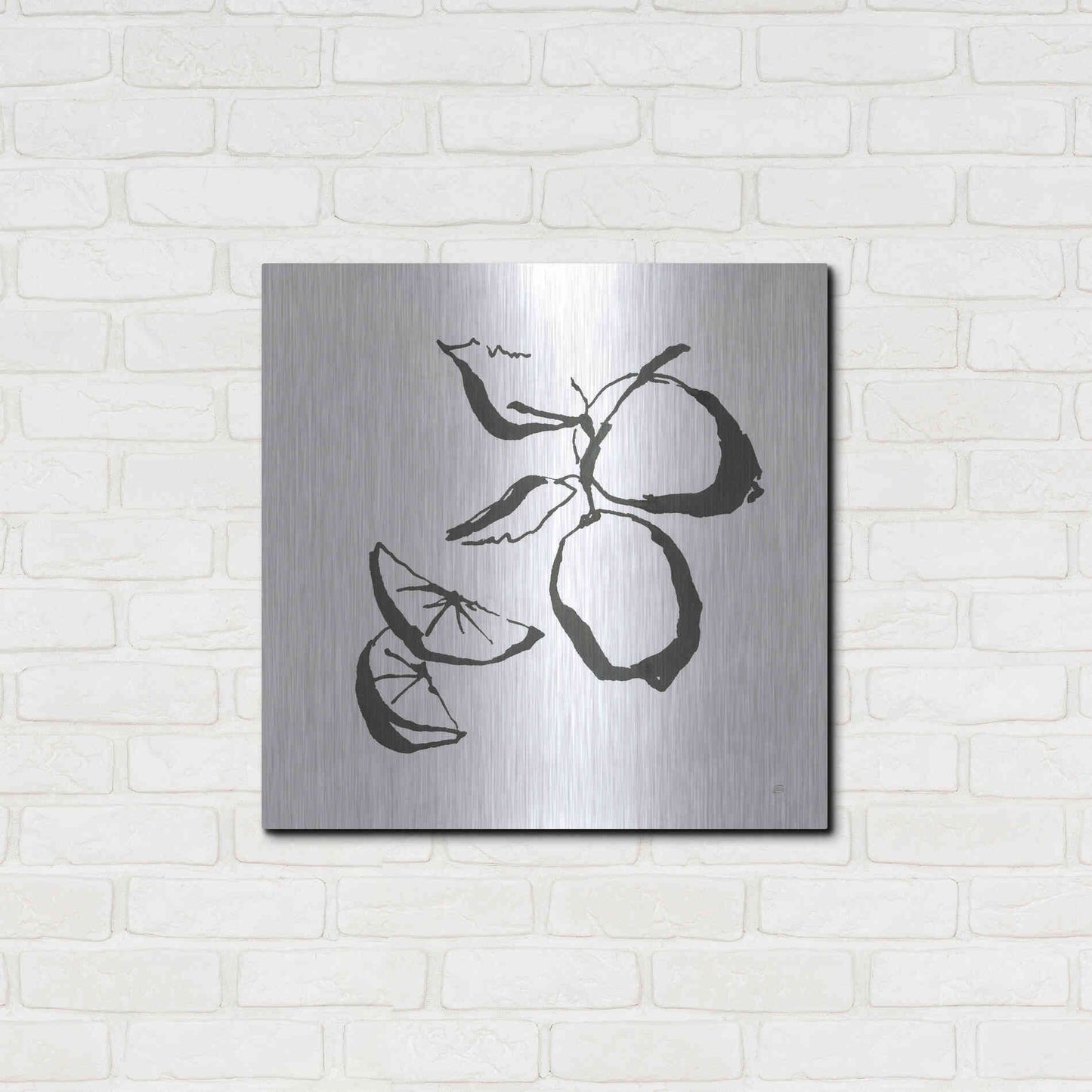 Luxe Metal Art 'Limes BW' by Chris Paschke, Metal Wall Art,24x24