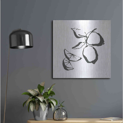 Luxe Metal Art 'Limes BW' by Chris Paschke, Metal Wall Art,24x24
