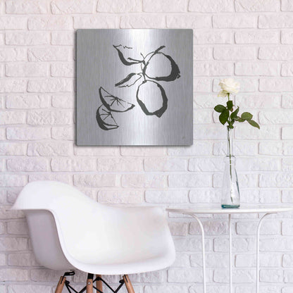 Luxe Metal Art 'Limes BW' by Chris Paschke, Metal Wall Art,24x24