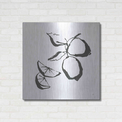 Luxe Metal Art 'Limes BW' by Chris Paschke, Metal Wall Art,36x36