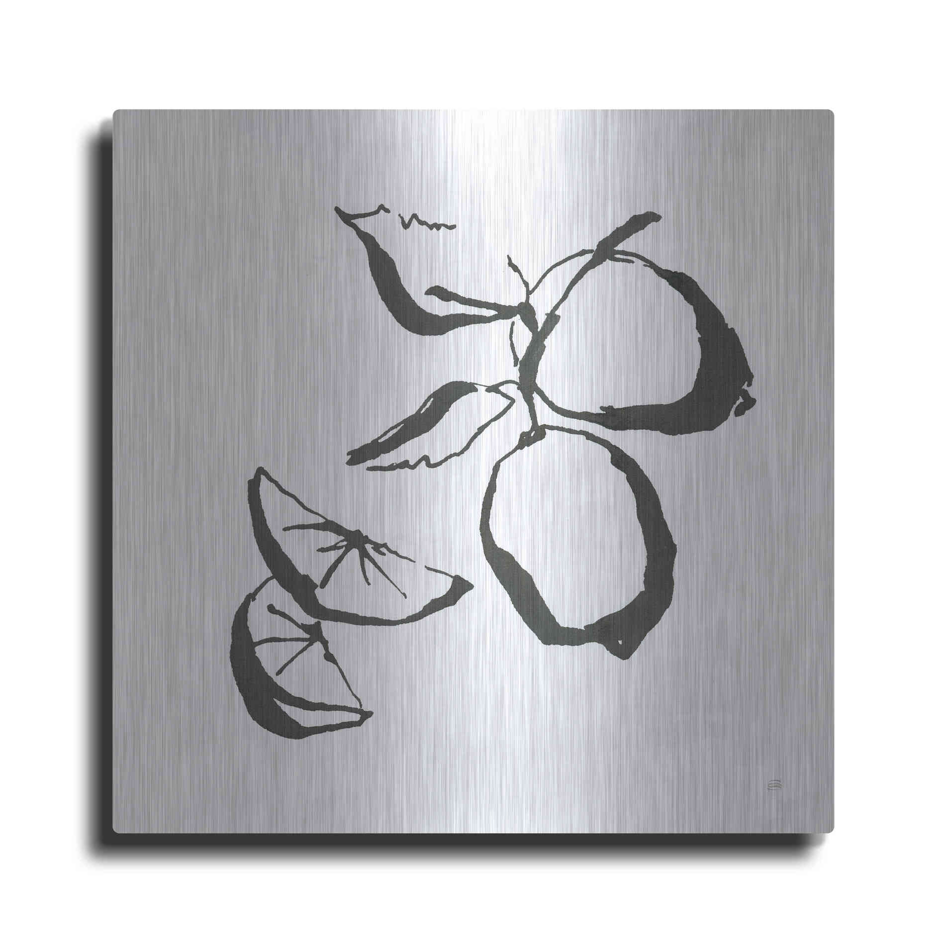 Luxe Metal Art 'Limes BW' by Chris Paschke, Metal Wall Art