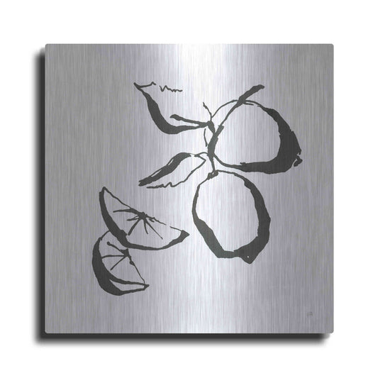 Luxe Metal Art 'Limes BW' by Chris Paschke, Metal Wall Art