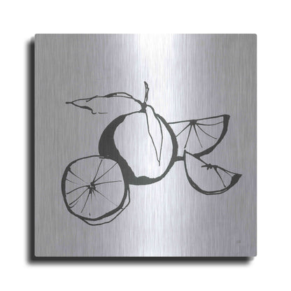 Luxe Metal Art 'Oranges BW' by Chris Paschke, Metal Wall Art