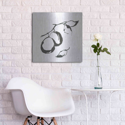 Luxe Metal Art 'Plums I BW' by Chris Paschke, Metal Wall Art,24x24