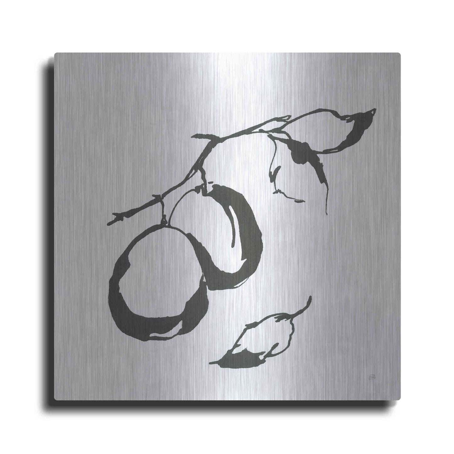 Luxe Metal Art 'Plums I BW' by Chris Paschke, Metal Wall Art