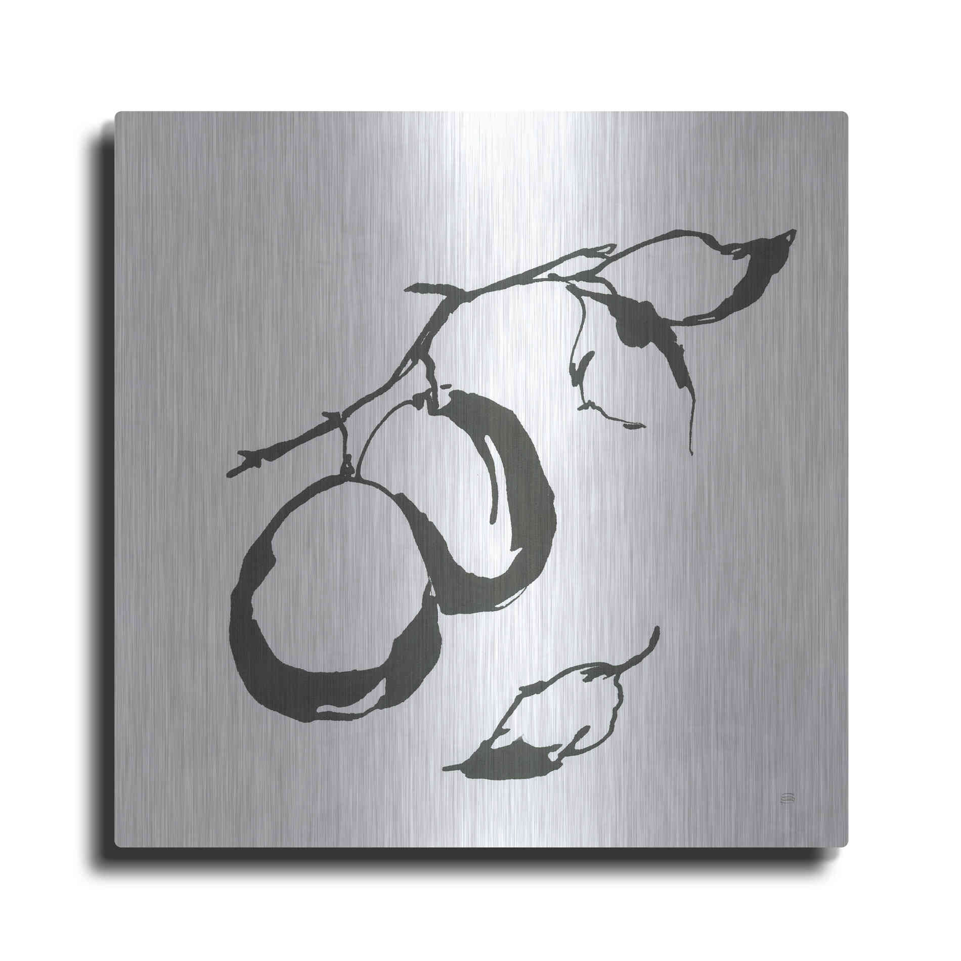 Luxe Metal Art 'Plums I BW' by Chris Paschke, Metal Wall Art