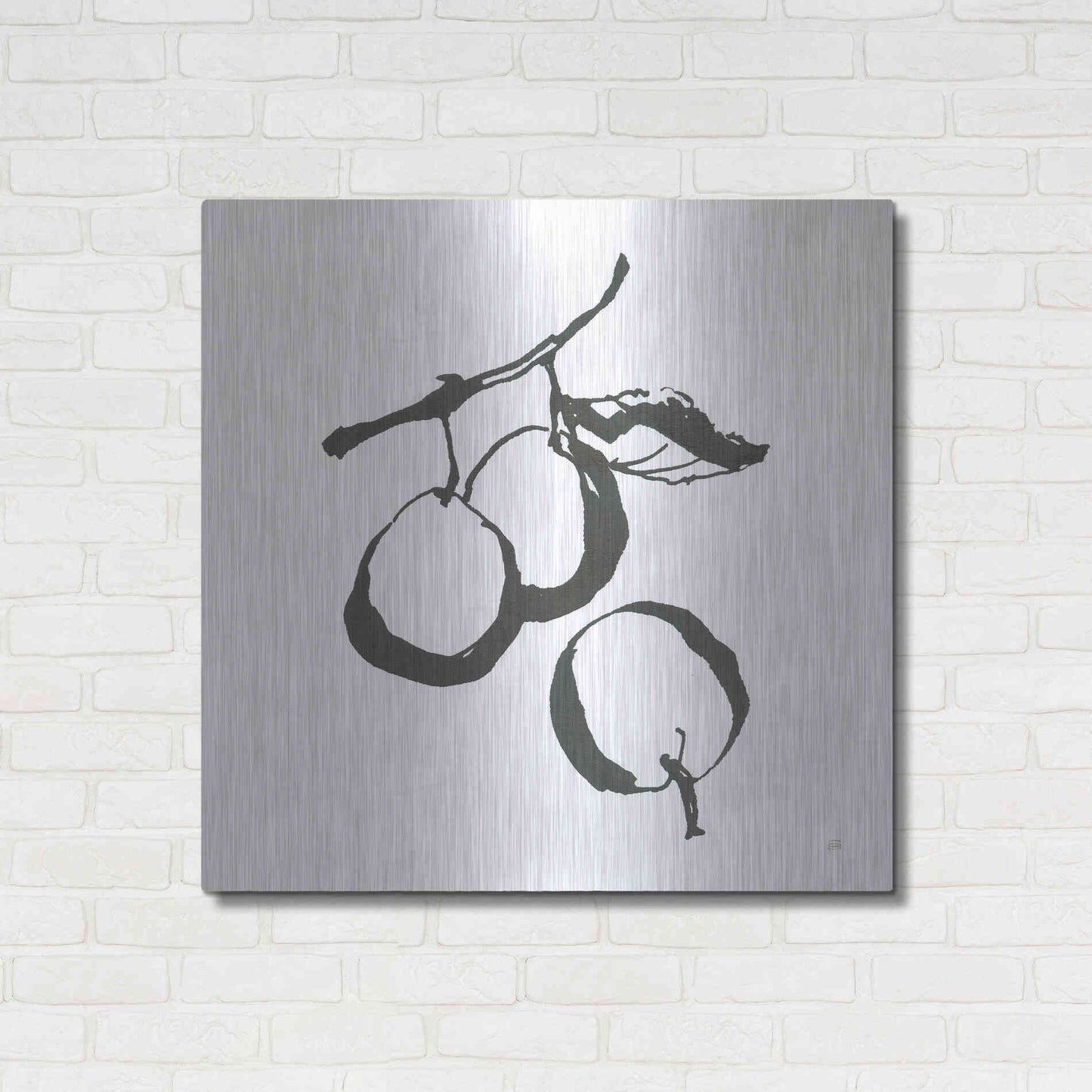 Luxe Metal Art 'Plums II BW' by Chris Paschke, Metal Wall Art,36x36