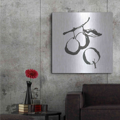 Luxe Metal Art 'Plums II BW' by Chris Paschke, Metal Wall Art,36x36