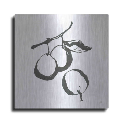 Luxe Metal Art 'Plums II BW' by Chris Paschke, Metal Wall Art