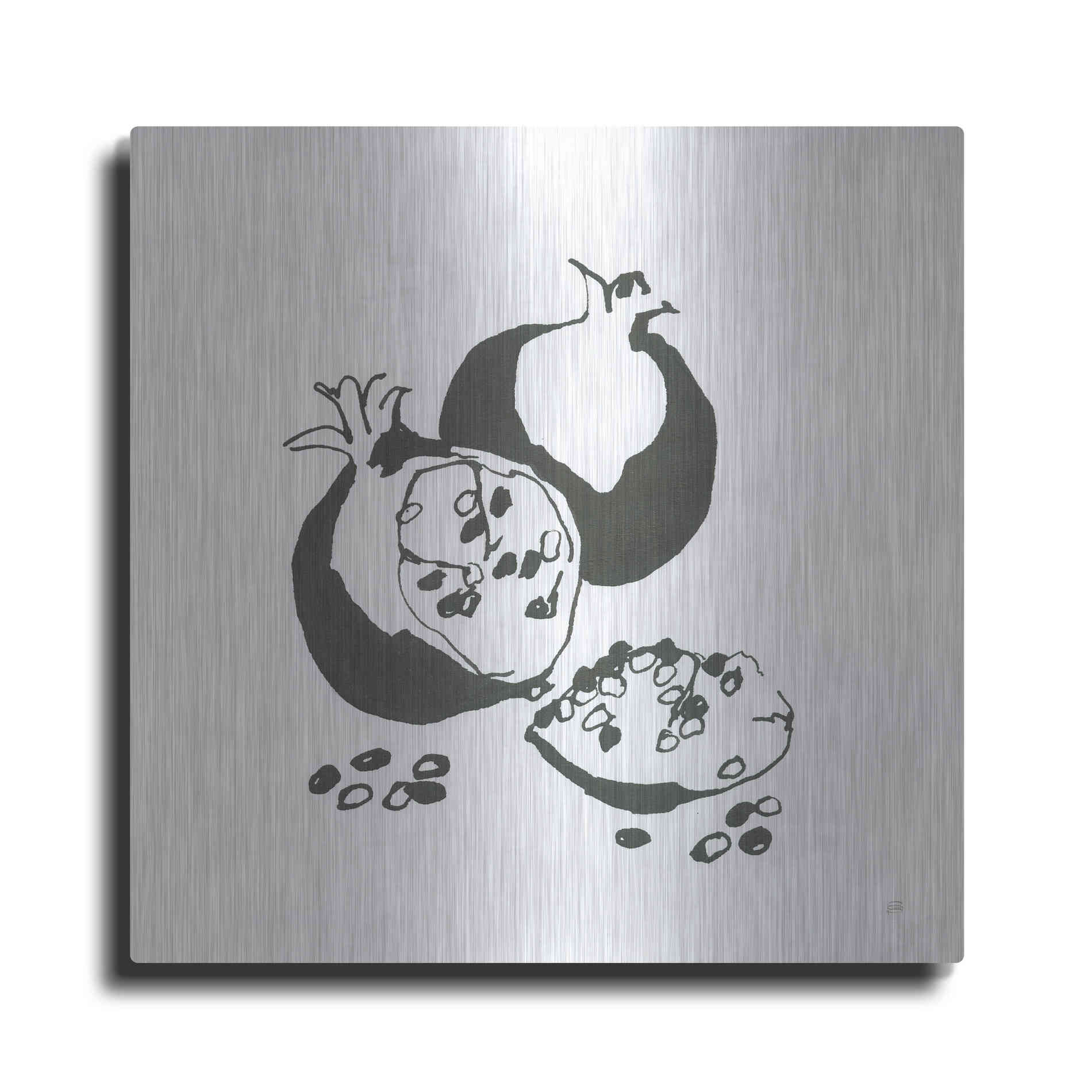 Luxe Metal Art 'Pomegranate II BW' by Chris Paschke, Metal Wall Art