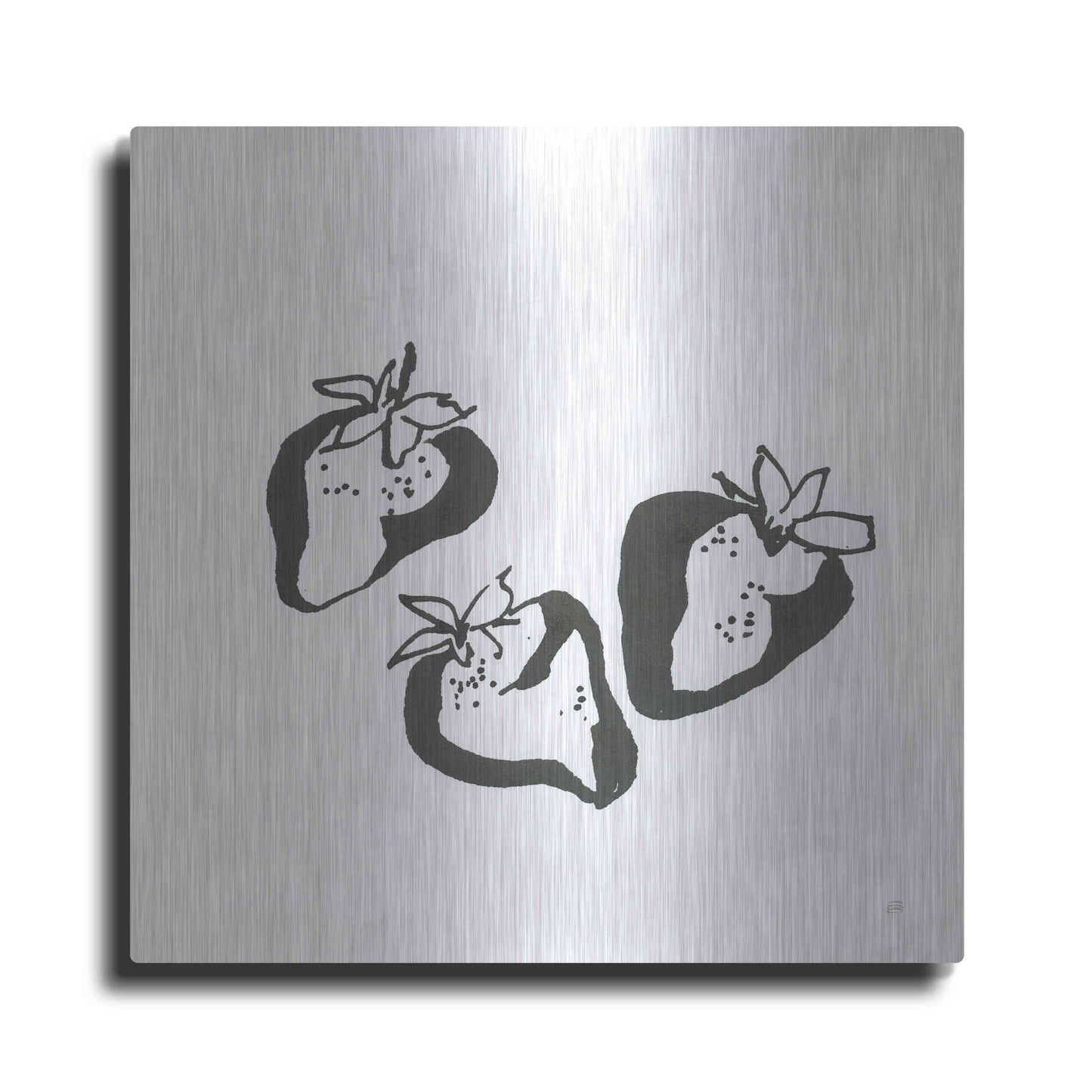 Luxe Metal Art 'Strawberries BW' by Chris Paschke, Metal Wall Art