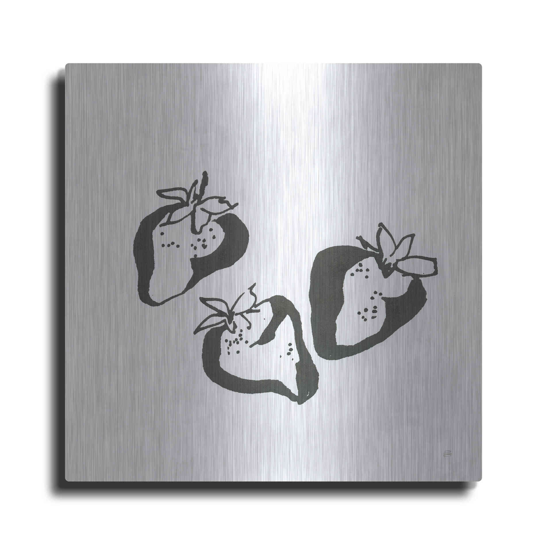 Luxe Metal Art 'Strawberries BW' by Chris Paschke, Metal Wall Art