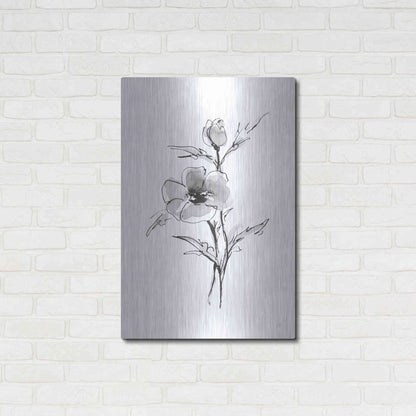 Luxe Metal Art 'Wash Anemone I' by Chris Paschke, Metal Wall Art,24x36