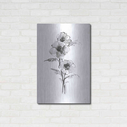 Luxe Metal Art 'Wash Anemone II' by Chris Paschke, Metal Wall Art,24x36