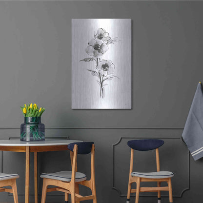 Luxe Metal Art 'Wash Anemone II' by Chris Paschke, Metal Wall Art,24x36