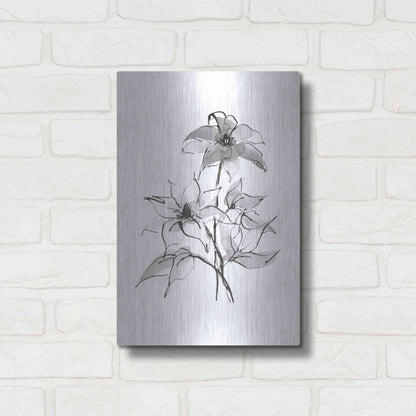 Luxe Metal Art 'Wash Clematis' by Chris Paschke, Metal Wall Art,12x16