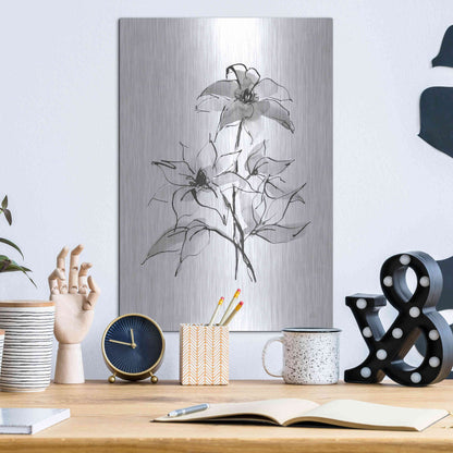 Luxe Metal Art 'Wash Clematis' by Chris Paschke, Metal Wall Art,12x16
