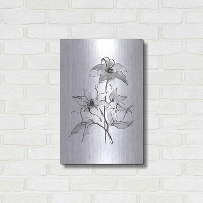 Luxe Metal Art 'Wash Clematis' by Chris Paschke, Metal Wall Art,16x24