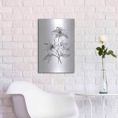 Luxe Metal Art 'Wash Clematis' by Chris Paschke, Metal Wall Art,16x24