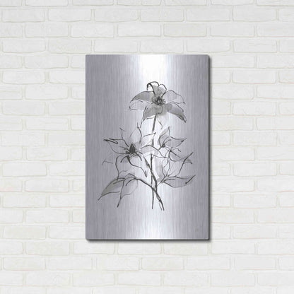 Luxe Metal Art 'Wash Clematis' by Chris Paschke, Metal Wall Art,24x36