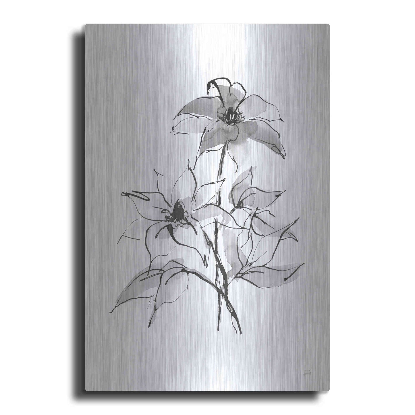Luxe Metal Art 'Wash Clematis' by Chris Paschke, Metal Wall Art